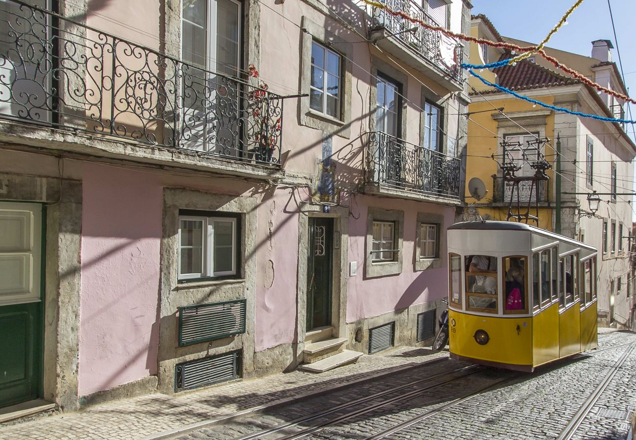 Chiado Blue by Homing