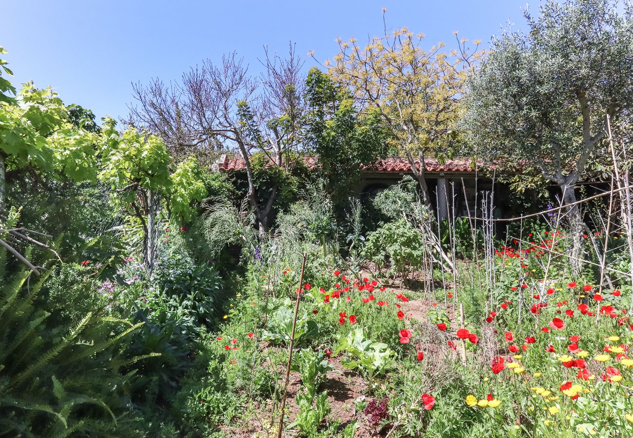 Apartamento em Aldeia de Juzo - GUINCHO TYPICAL HOUSE II by HOMING