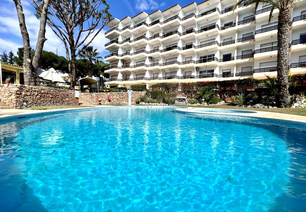 Apartamento em Vilamoura - VILAMOURA PALM TREE WITH POOL by HOMING