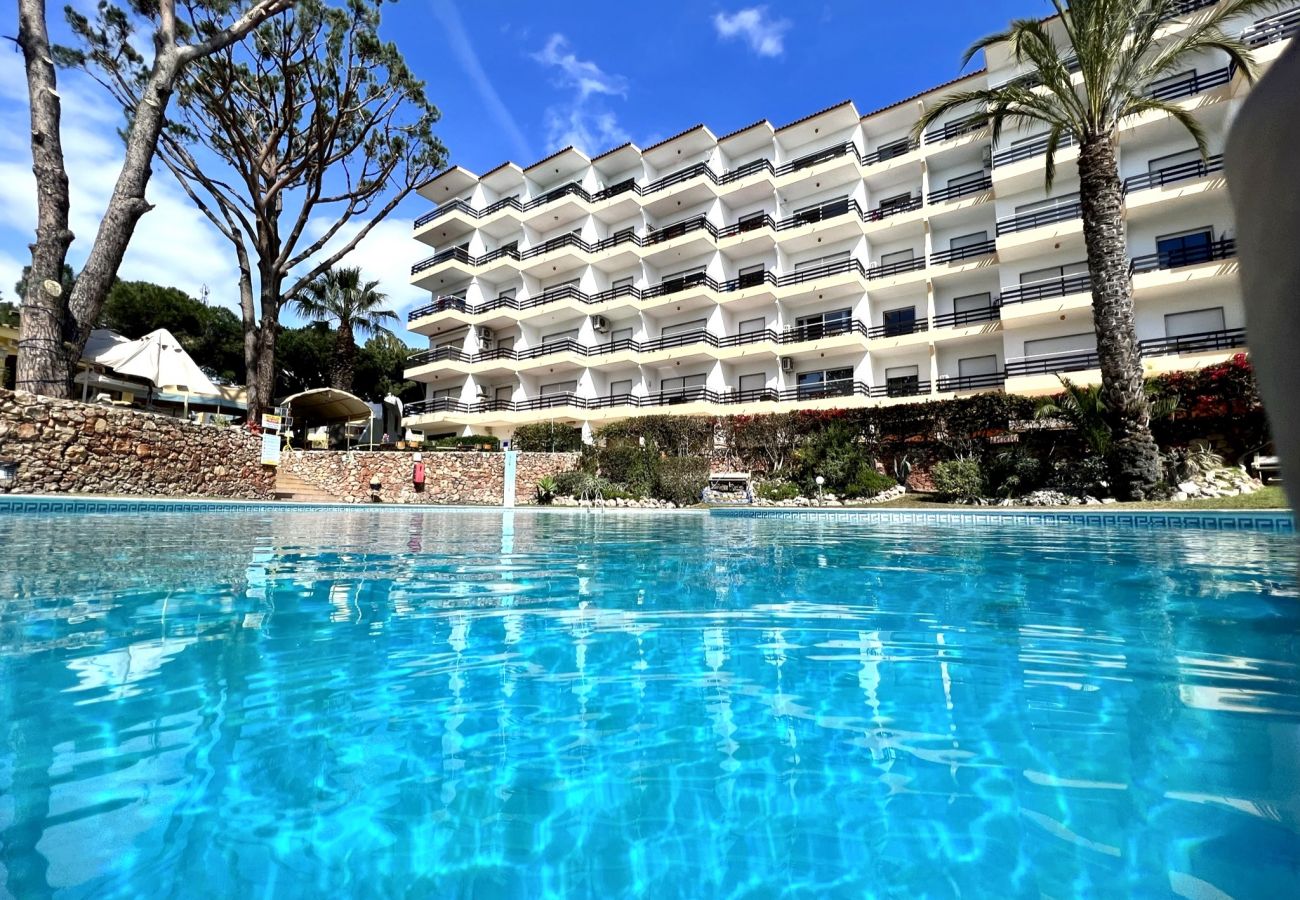 Apartamento em Vilamoura - VILAMOURA PALM TREE WITH POOL by HOMING