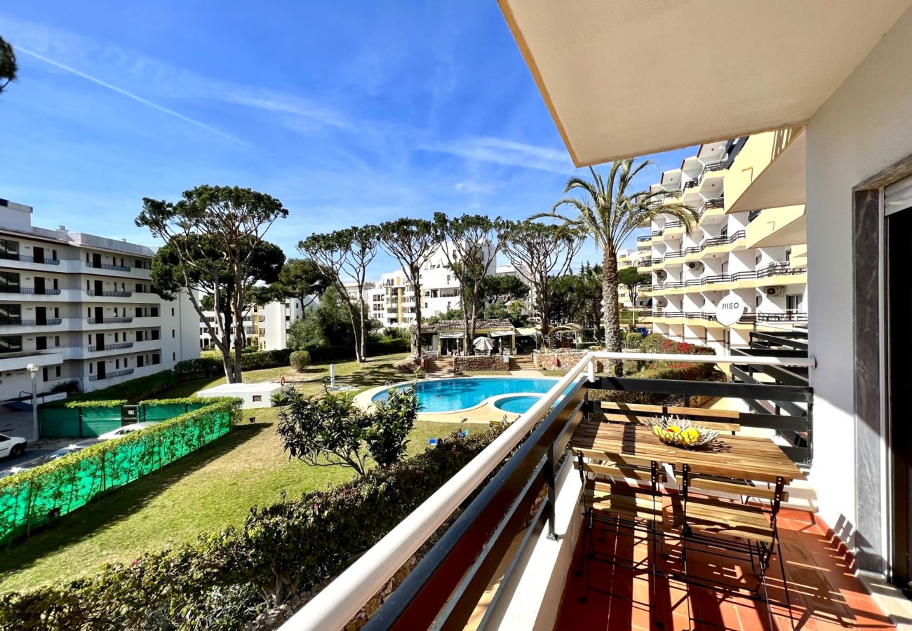 Apartamento em Vilamoura - VILAMOURA PALM TREE WITH POOL by HOMING