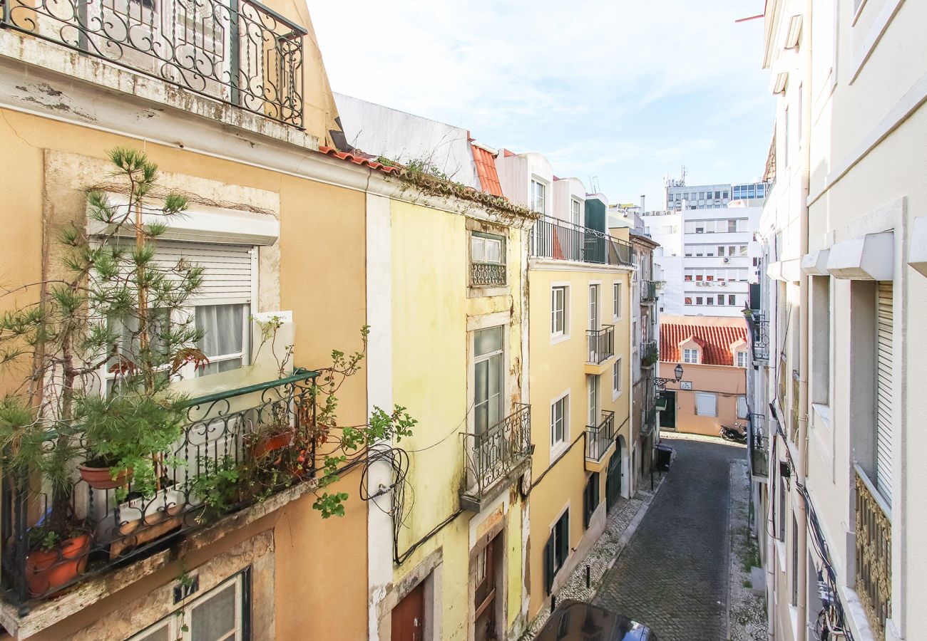 Apartamento em Lisboa - COSY AVENIDA by HOMING