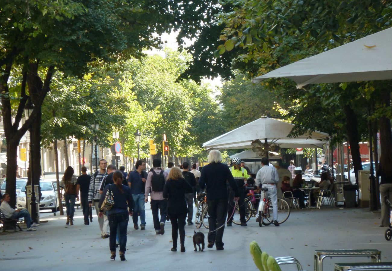 Apartment in Barcelona - PASSEIG DE GRACIA, with large terrace