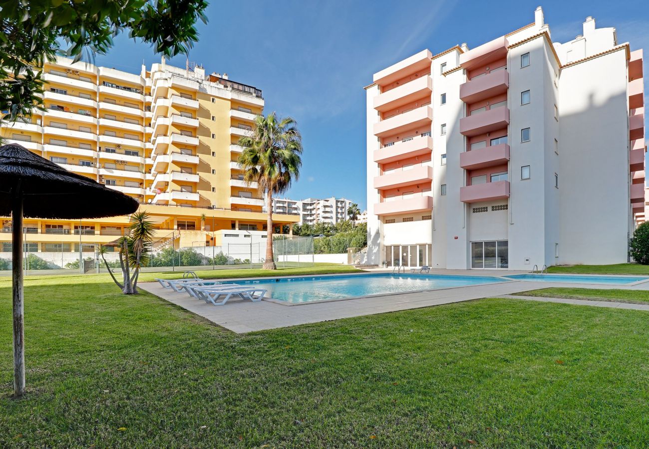 Apartment in Portimão - PRAIA DA ROCHA CENTRAL WITH POOL by HOMING