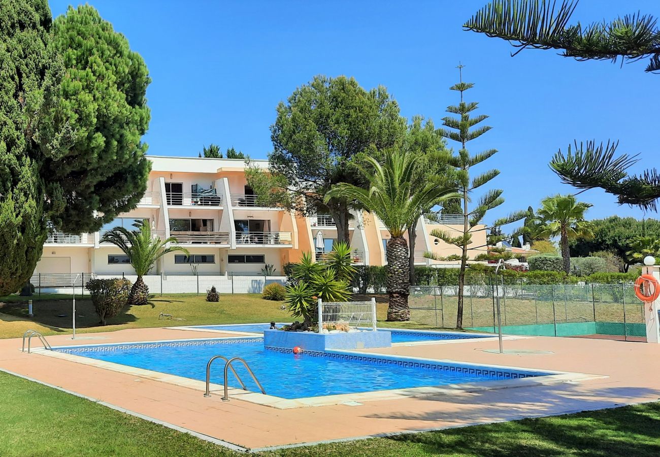 Apartment in Armação de Pêra - ARMAÇÃO DE PÊRA BRIGHTNESS 2 WITH POOL by HOMING