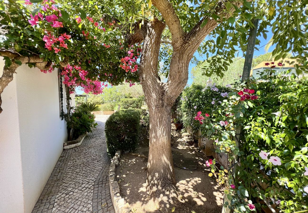 Villa in Mexilhoeira da Carregação - ALVOR TRADITIONAL VILLA WITH POOL by HOMING